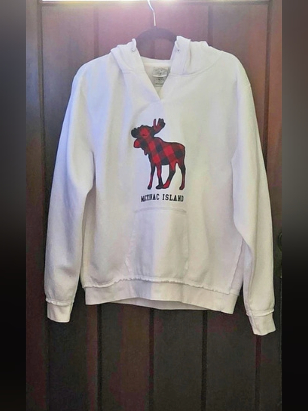 Salt Creek Animal Graphic Hoodie in White Size Large